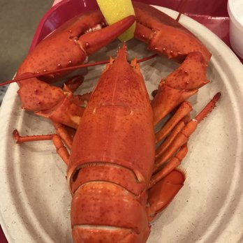 The Lobster Stop - Seafood Near Me - Quincy, Massachusetts The Lobster Stop - Seafood Near Me - Quincy, Massachusetts