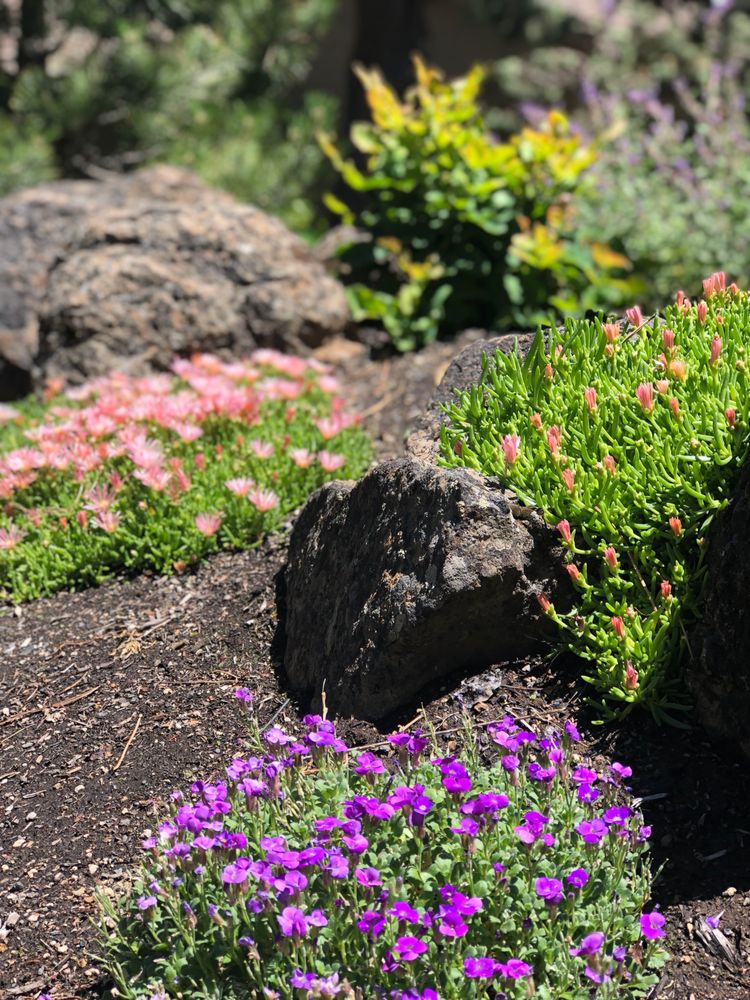 Slide of Blooming Desert Design + Build