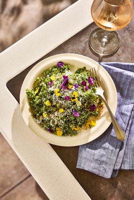 Barbuto Brooklyn by null