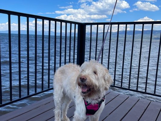 BLUE LAKE ANIMAL CARE CENTER - Updated January 2025 - 53 Photos & 99