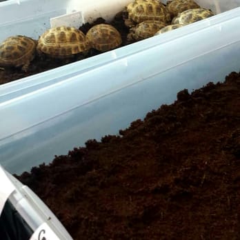 Reptile Super Show - Festivals Near Me - Pomona, California Reptile Super Show - Festivals Near Me - Pomona, California