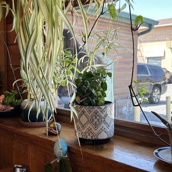 The Griddle - Plants! - Breakfast & Brunch Near Me - Winnemucca, Nevada