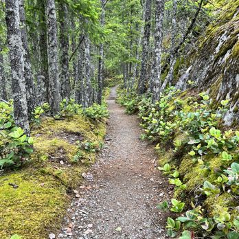 Gorge Creek Falls - Gorge Creek Trail - the unpaved section of the loop. - Hiking Near Me