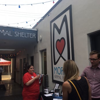 Morris Animal Refuge - Celebrating YAPPY hour at the shelter! - Animal Shelters Near Me - Philadelphia, Pennsylvania Morris Animal Refuge - Celebrating YAPPY hour at the shelter! - Animal Shelters Near Me - Philadelphia, Pennsylvania