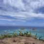 Photo of Hokulani Kai Island Tours
