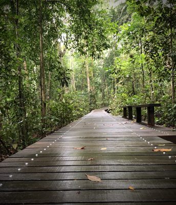 Lower Peirce Reservoir Park by null