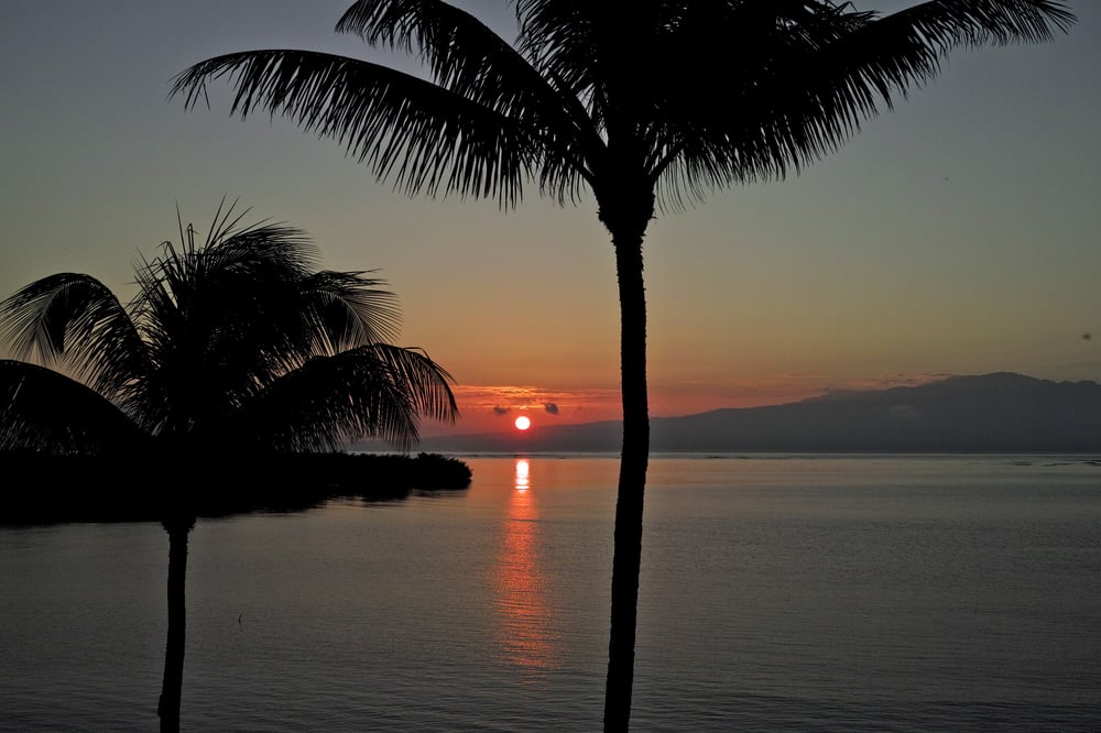 Wavecrest Resort