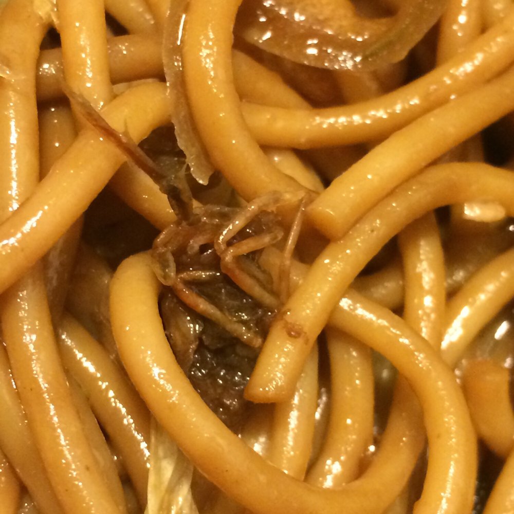Dragon Licious - ROACH with a side of lo-mein - Chinese Near Me - San Angelo, Texas Dragon Licious - ROACH with a side of lo-mein - Chinese Near Me - San Angelo, Texas
