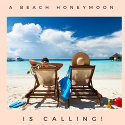 Travel Connections & Cruises