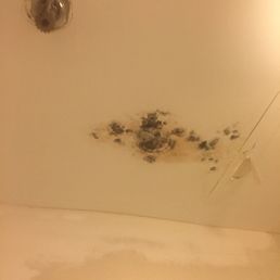 Black mold in the bathroom. Black mold in the bathroom.