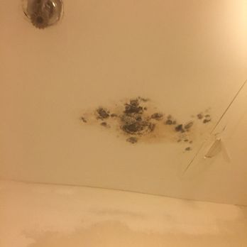 The Seabrook Inns - Black mold in the bathroom. - Hotels Near Me - Seabrook, New Hampshire The Seabrook Inns - Black mold in the bathroom. - Hotels Near Me - Seabrook, New Hampshire