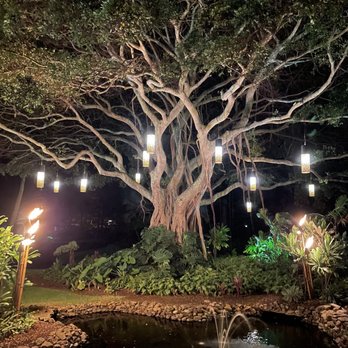 The Banyan Tree - A Banyan Tree at the Ritz entrance - Seafood Near Me - Kapalua, Hawaii The Banyan Tree - A Banyan Tree at the Ritz entrance - Seafood Near Me - Kapalua, Hawaii