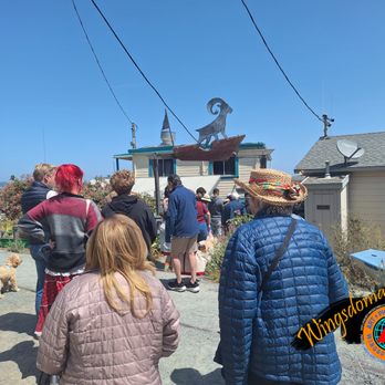 Sailing Goat Restaurant - https://gallery.wingsdomain.com - Seafood Near Me - Richmond, California Sailing Goat Restaurant - https://gallery.wingsdomain.com - Seafood Near Me - Richmond, California