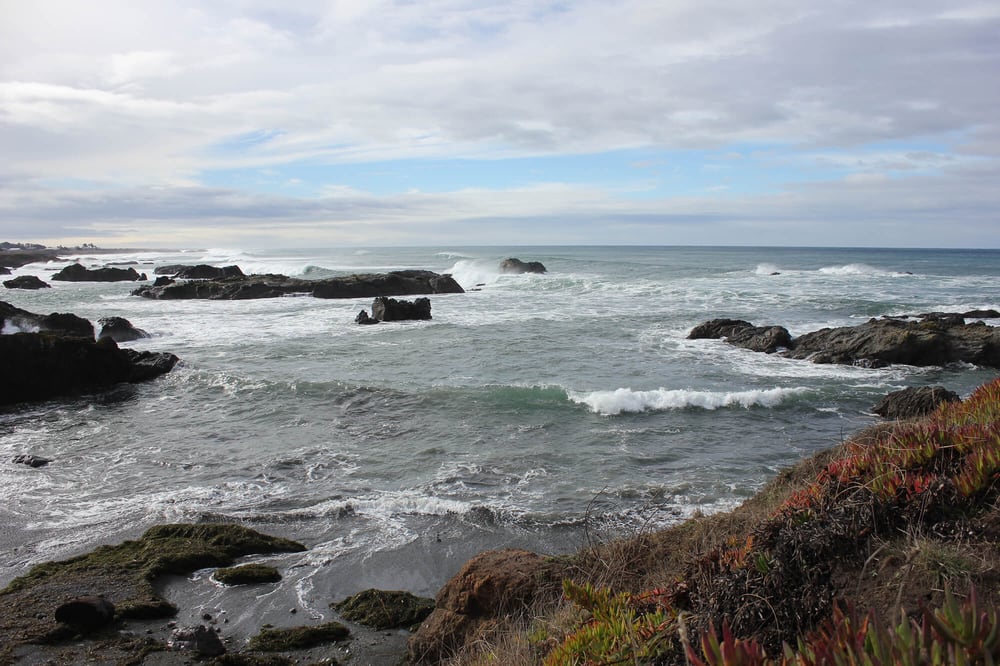 MENDOCINO COAST PROPERTY MANAGEMENT Updated September 2024 Request