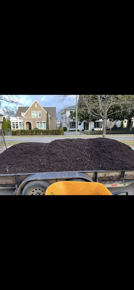 Maddie’s yard Services - tree service in Nashville, TN