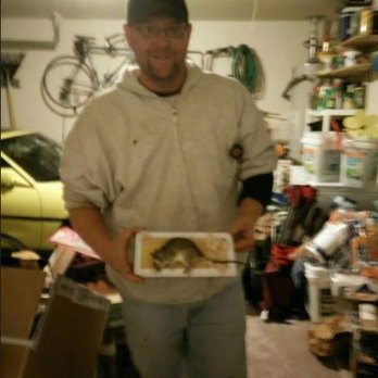 Pest Roper - Pest Control Near Me - Houston, Texas Pest Roper - Pest Control Near Me - Houston, Texas