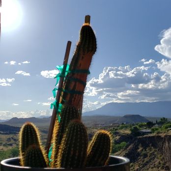 River Rock Roasting Co - Patio view. It's a cactus...duh! - Coffee & Tea Near Me - La Verkin, Utah River Rock Roasting Co - Patio view. It's a cactus...duh! - Coffee & Tea Near Me - La Verkin, Utah