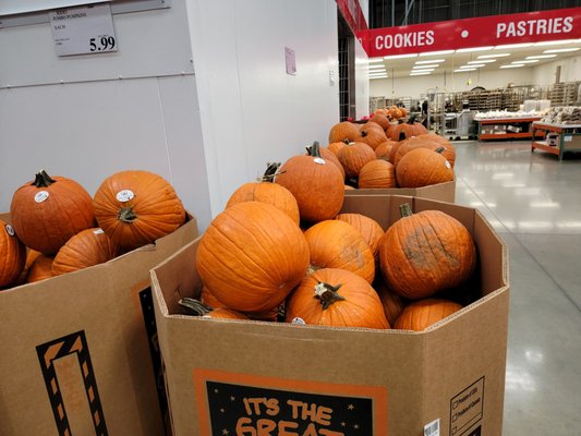 Costco Wholesale by null