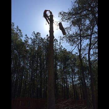 Greenwood Tree Service - Tree Services Near Me - Cary, North Carolina Greenwood Tree Service - Tree Services Near Me - Cary, North Carolina
