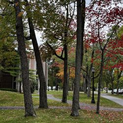 Bowdoin College Museum of Art - Campus