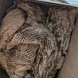 Nothing in the box but packing materials