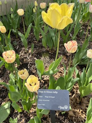 Green Bay Botanical Garden by null
