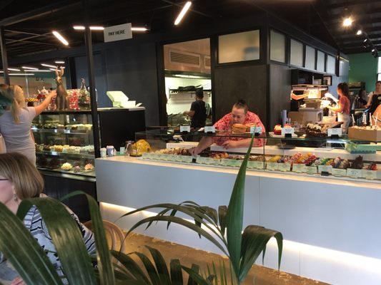 The Hatter and the Hare by null