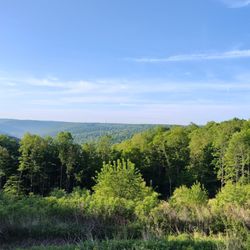 Majestic Trails