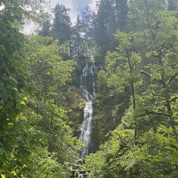 Munson Creek Falls - Parks Near Me Munson Creek Falls - Parks Near Me