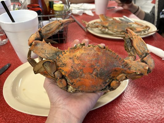 Seafood Palace by null