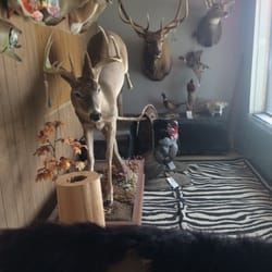 Gumbetter's Taxidermy - Front office various mounts they can do. Family owned 3rd generation.