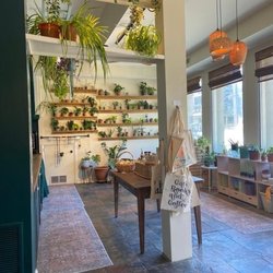 Cup Of Gold Coffee & Tea Company - Love the plants