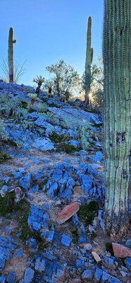 Gateway Trailhead - McDowell Sonoran Preserve by null