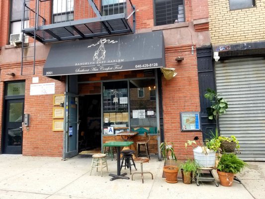 Bangklyn East Harlem by null