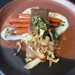 Ocean trout Ocean trout