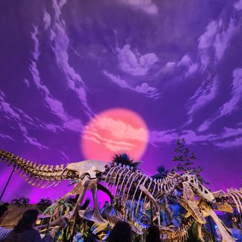 The Children's Museum - Dinos - Children's Museums Near Me - Indianapolis, Indiana The Children's Museum - Dinos - Children's Museums Near Me - Indianapolis, Indiana