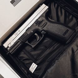 Discount Gun Mart - Springfield Armory XD9 Stainless Steel