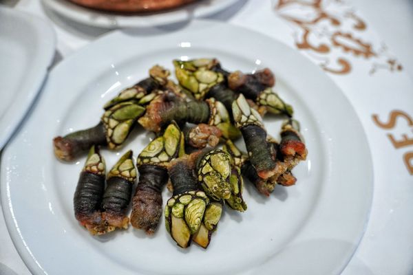 Restaurant - Cervejaria Ramiro by null