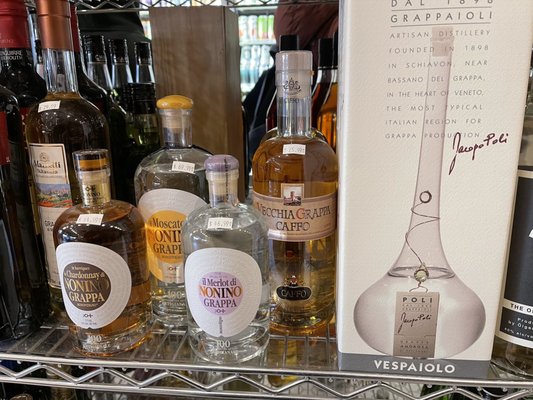 The Wise Old Dog by null