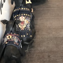 Pawsdeluxe - Cute outfits with designer brand influences for your fancy pooch