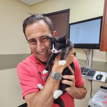 Value Vet - Westwood - Esmeralda and Dr.Werber. - Veterinarians Near Me - Los Angeles, California Value Vet - Westwood - Esmeralda and Dr.Werber. - Veterinarians Near Me - Los Angeles, California