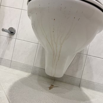 Clayton Hotel - Feces on toilet and floor - Hotels Near Me - Swords, D