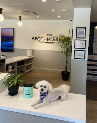 The Apothecarium Cannabis Dispensary Capitola by null
