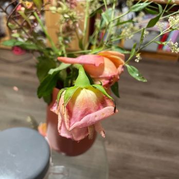 Wallflower - Florists Near Me - San Francisco, California Wallflower - Florists Near Me - San Francisco, California