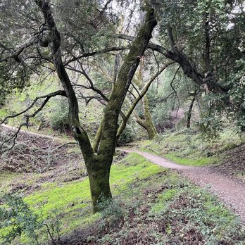 Castleridge Trailhead - Hiking Near Me - Pleasanton, California