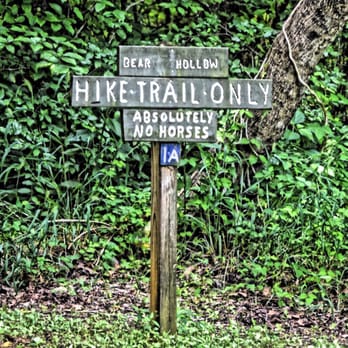 Northeast Park - Hiking/Biking trails well marked, horses have their own: NE Park - Parks Near Me - Gibsonville, North Carolina Northeast Park - Hiking/Biking trails well marked, horses have their own: NE Park - Parks Near Me - Gibsonville, North Carolina