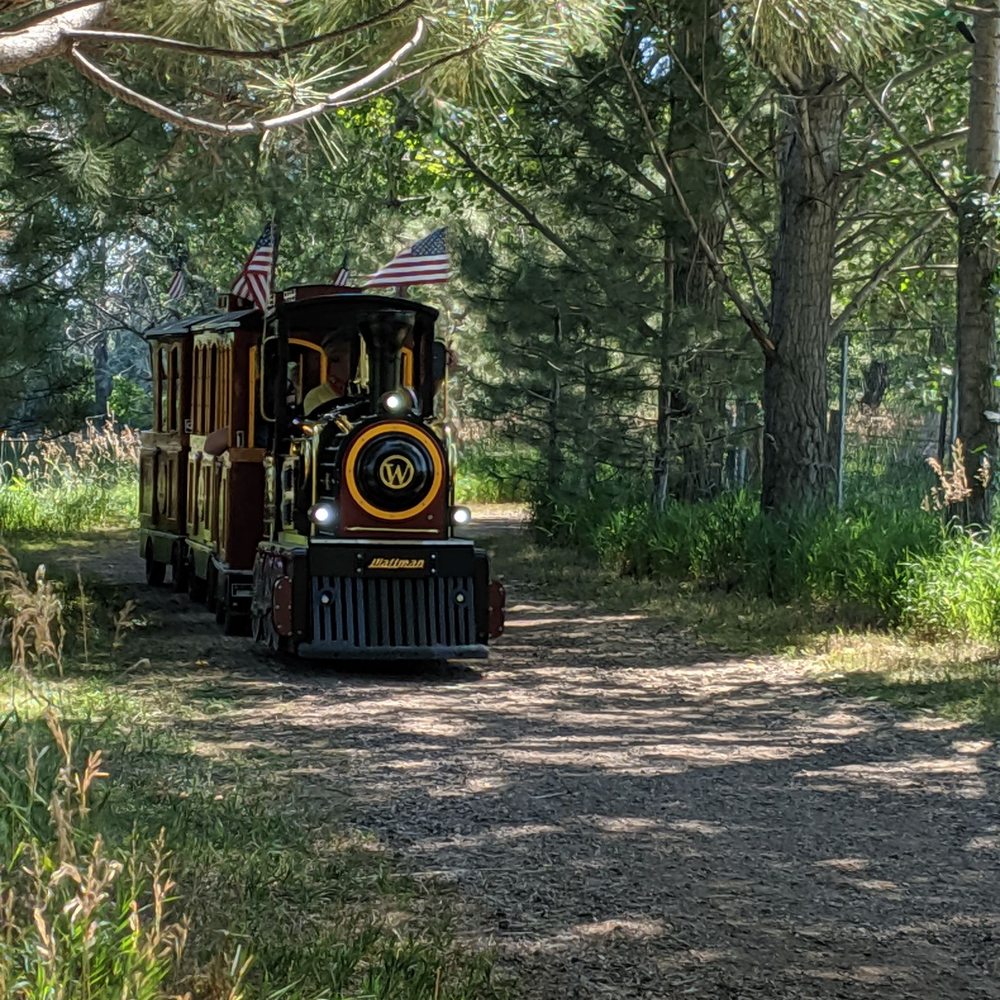 Koa Lakeside - Train ride through beautiful trails - RV Parks Near Me - Fort Collins, Colorado Koa Lakeside - Train ride through beautiful trails - RV Parks Near Me - Fort Collins, Colorado