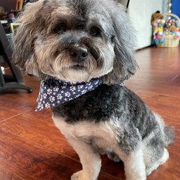 My dapper little man after a visit with Miss Allie! My dapper little man after a visit with Miss Allie!
