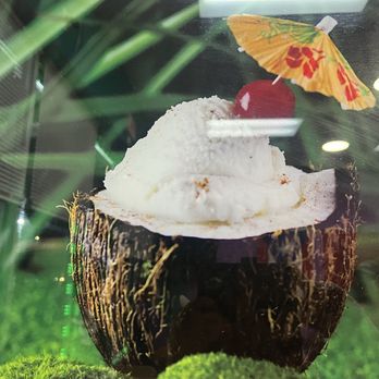 Jr Tropical Ice Cream - Ice cream in a coconut! - Ice Cream & Frozen Yogurt Near Me - Orlando, Florida Jr Tropical Ice Cream - Ice cream in a coconut! - Ice Cream & Frozen Yogurt Near Me - Orlando, Florida
