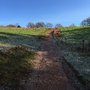 Clent Hills